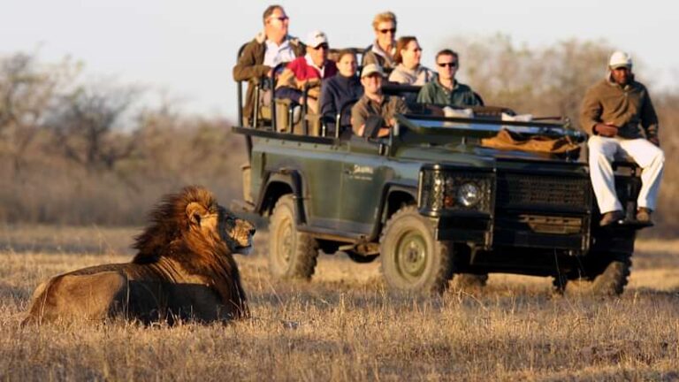 5 Day Hoyo Hoyo Lodge Safari